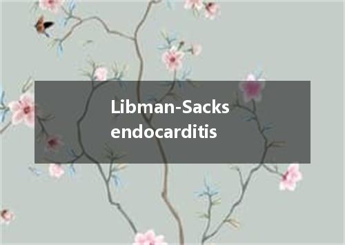 Libman-Sacks endocarditis是什么意思