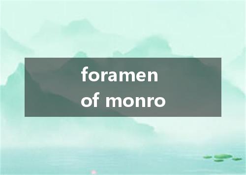 foramen of monro是什么意思