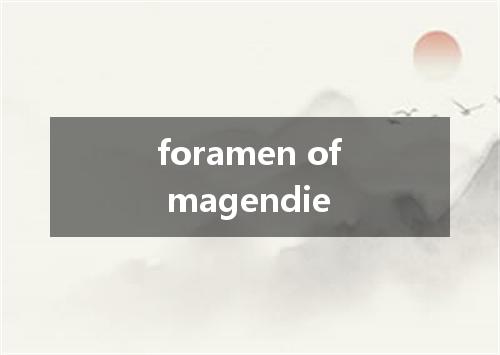 foramen of magendie是什么意思