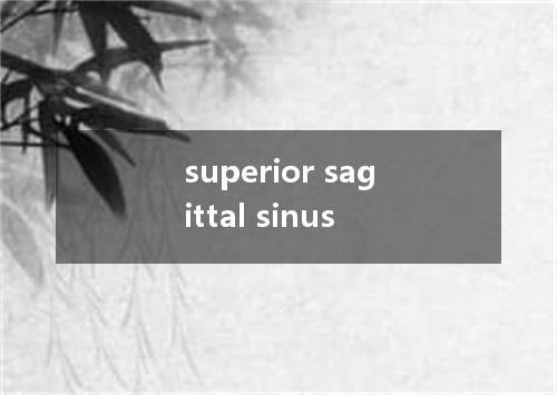 superior sagittal sinus是什么意思
