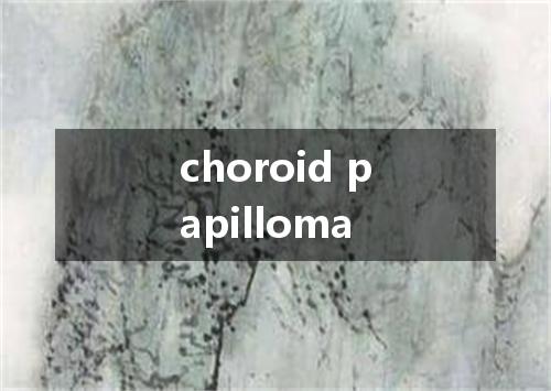 choroid papilloma是什么意思
