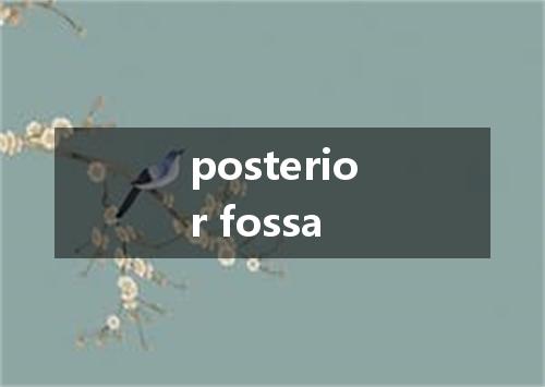 posterior fossa是什么意思