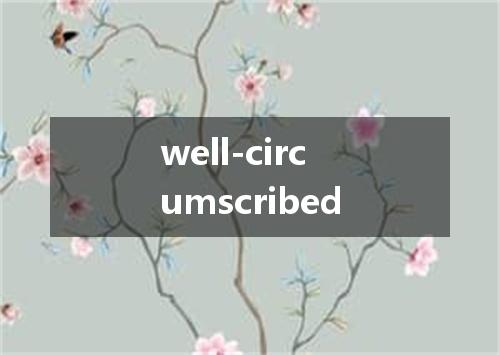 well-circumscribed是什么意思