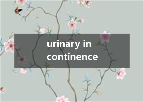 urinary incontinence是什么意思