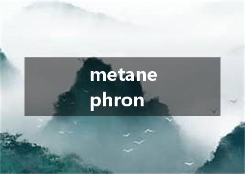 metanephron是什么意思