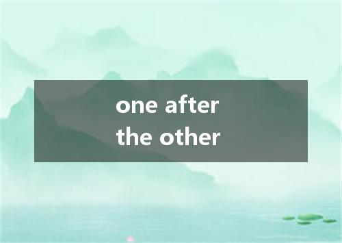 one after the other是什么意思