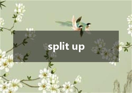 split up是什么意思