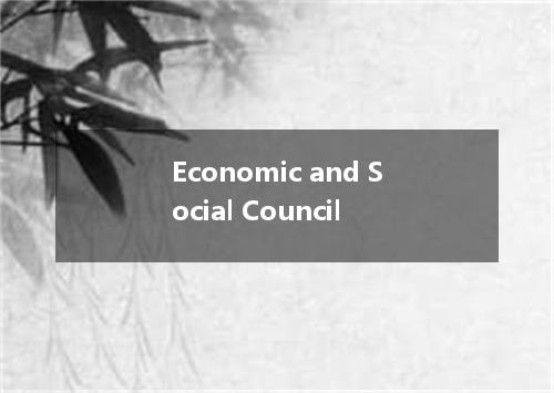 Economic and Social Council是什么意思