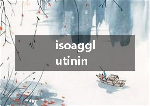isoagglutinin是什么意思