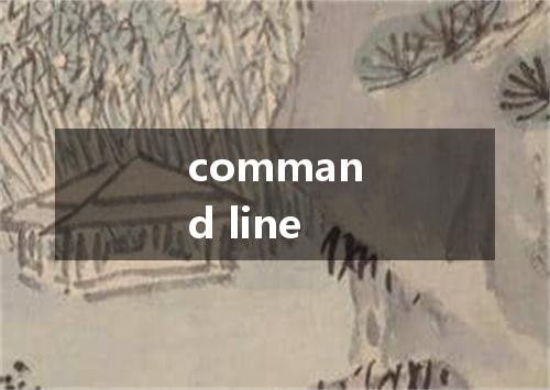 command line是什么意思