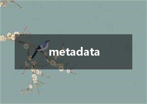 metadata是什么意思