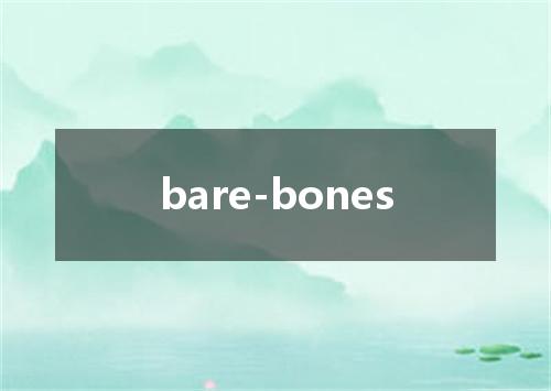 bare-bones是什么意思