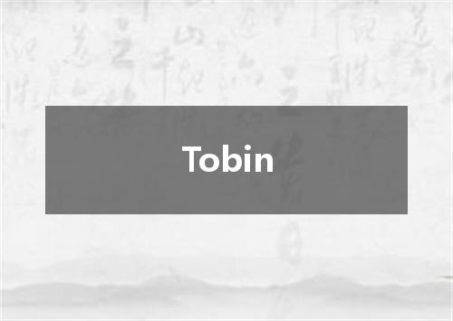 Tobin是什么意思
