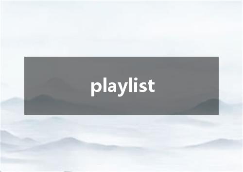 playlist是什么意思