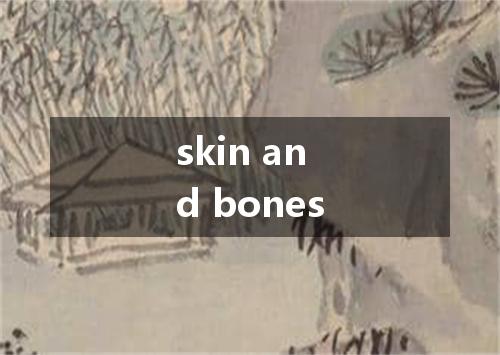 skin and bones是什么意思