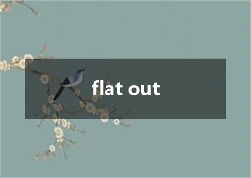 flat out是什么意思