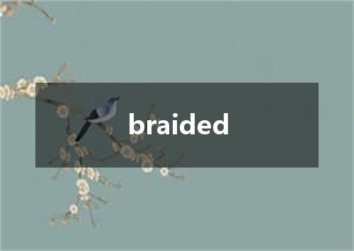 braided是什么意思