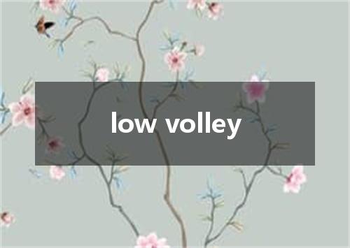 low volley是什么意思