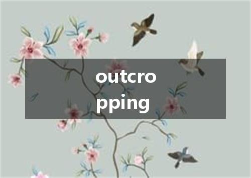 outcropping是什么意思