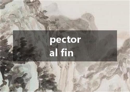 pectoral fin是什么意思