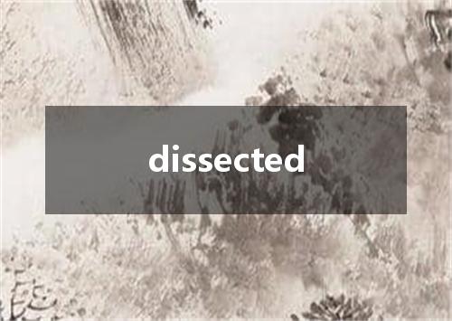 dissected是什么意思