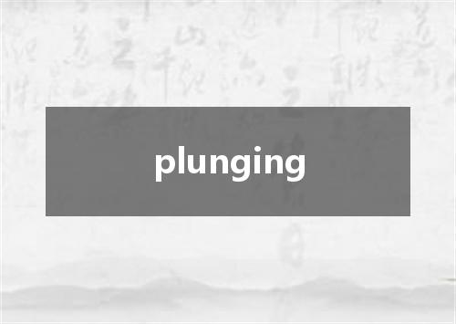 plunging是什么意思
