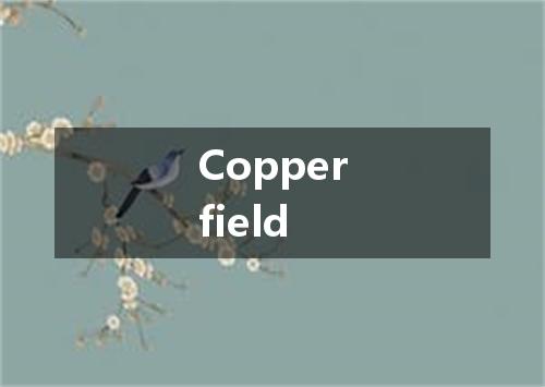 Copperfield是什么意思