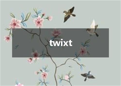 twixt是什么意思