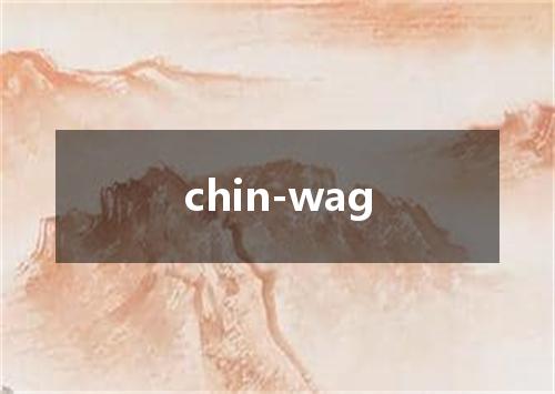 chin-wag是什么意思