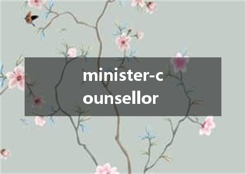 minister-counsellor是什么意思