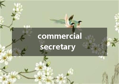 commercial secretary是什么意思