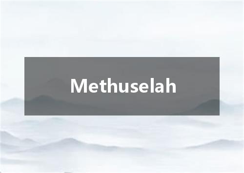Methuselah是什么意思