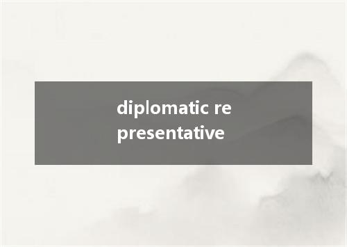 diplomatic representative是什么意思