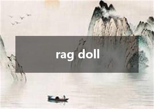 rag doll是什么意思
