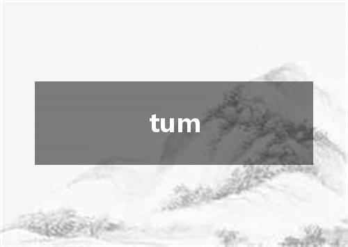 tum是什么意思