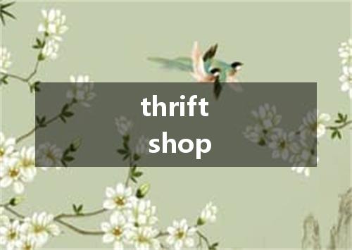thrift shop是什么意思