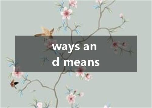 ways and means是什么意思