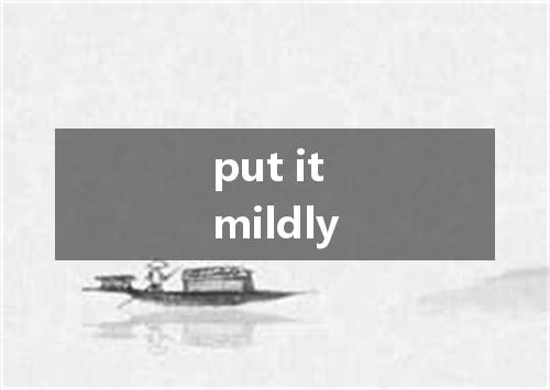 put it mildly是什么意思