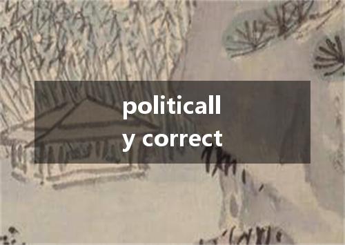 politically correct是什么意思