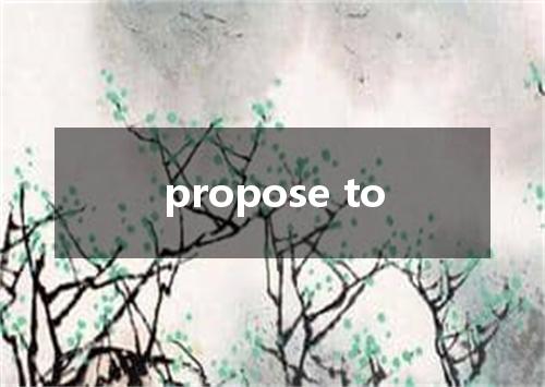 propose to是什么意思