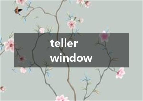 teller window是什么意思