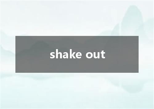 shake out是什么意思