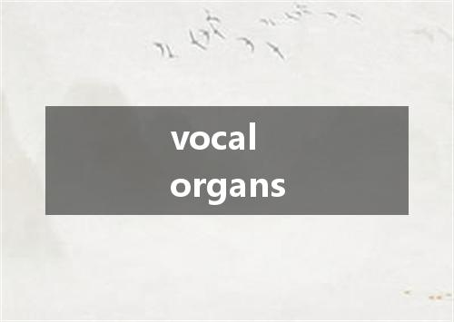 vocal organs是什么意思