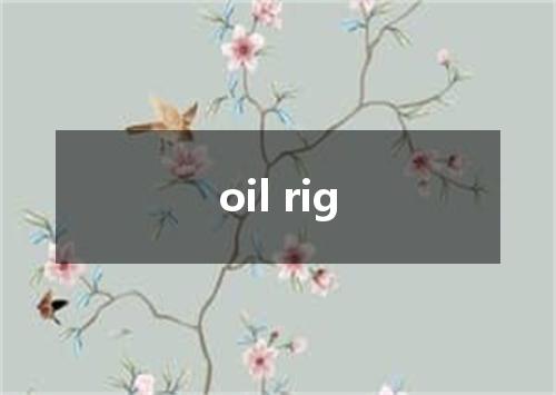 oil rig是什么意思