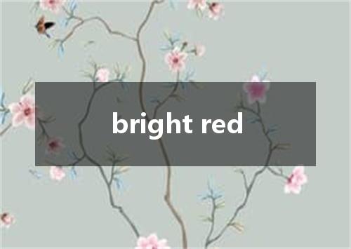 bright red是什么意思