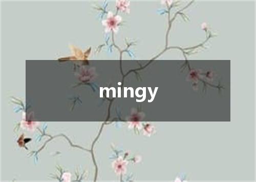 mingy是什么意思