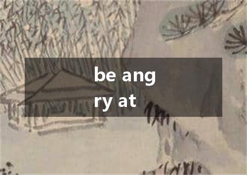 be angry at是什么意思