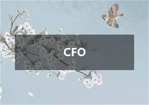CFO是什么意思