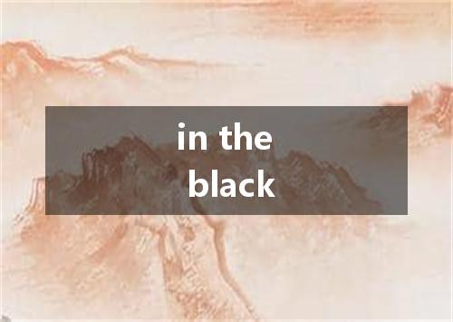 in the black是什么意思