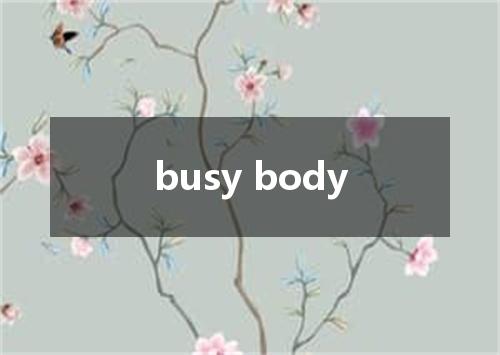 busy body是什么意思